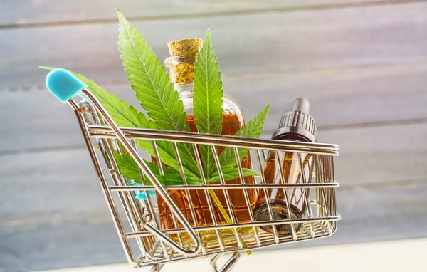 Comment comparer les sites de chanvre : les principaux points à retenir